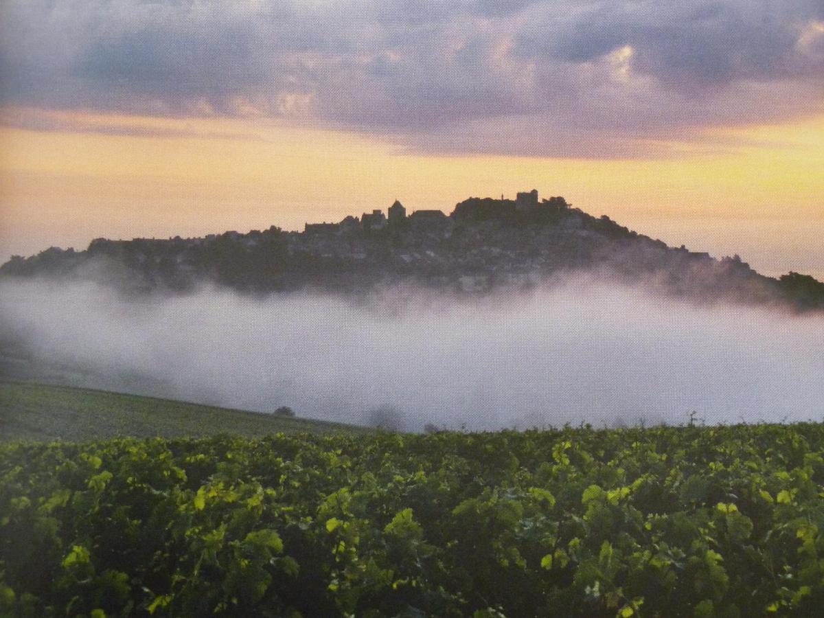 Maison Les Fossiles Βίλα Sancerre Εξωτερικό φωτογραφία