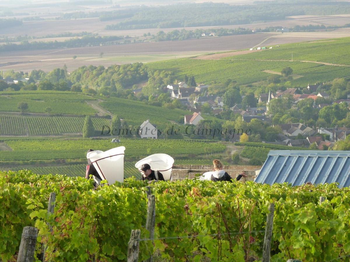 Maison Les Fossiles Βίλα Sancerre Εξωτερικό φωτογραφία